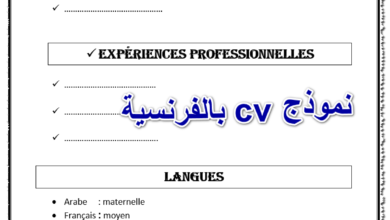 نموذج cv بالفرنسية