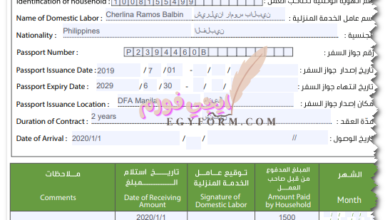 نموذج كشف أستلام الرواتب الشهرية وزارة العمل