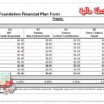 نموذج خطة مالية