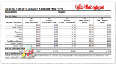 نموذج خطة مالية